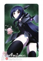 Accel World 19